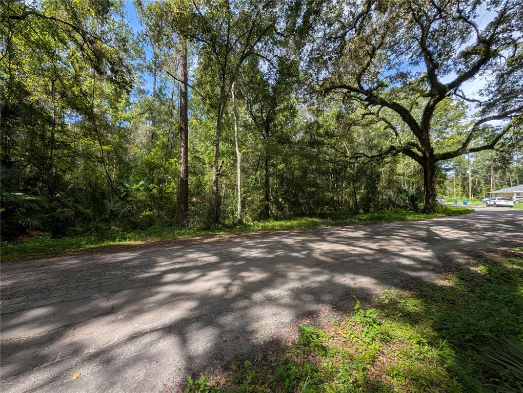A paved road runs alongside a wooded lot with mature trees and dense vegetation — 0 WILDWOOD DRIVE, BROOKSVILLE, FL