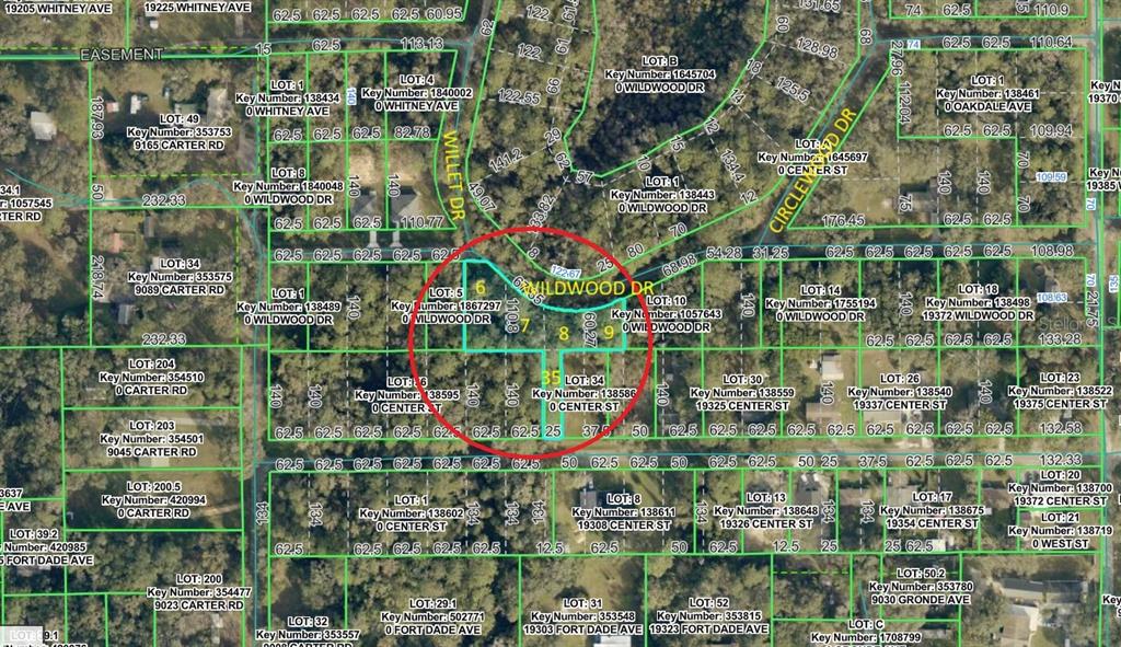 This is a property tax map showing lot lines and parcel information for a residential area — 0 WILDWOOD DRIVE, BROOKSVILLE, FL