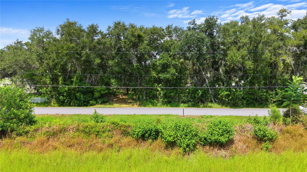 A paved road runs in front of a dense line of trees and green vegetation — 3120 CHEROKEE ROAD, ST CLOUD, FL