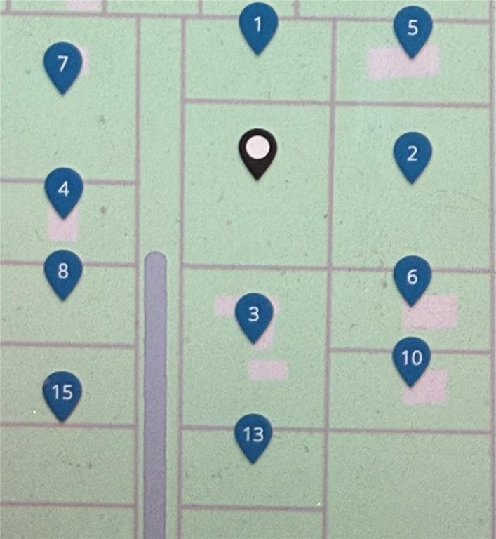 This is a map showing numbered location markers on various plots of land — NE 117TH AVENUE, SILVER SPRINGS, FL