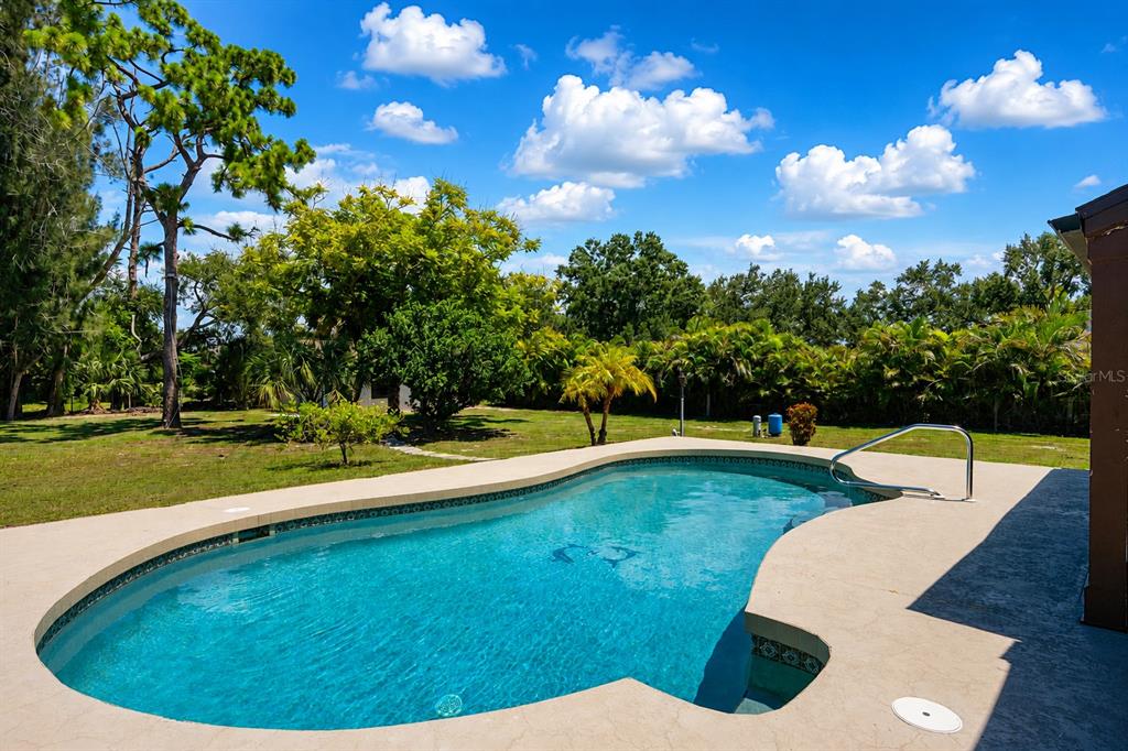 A kidney-shaped swimming pool sits in a grassy backyard surrounded by trees and palm trees — 2331 MISSION VALLEY BOULEVARD, NOKOMIS, FL