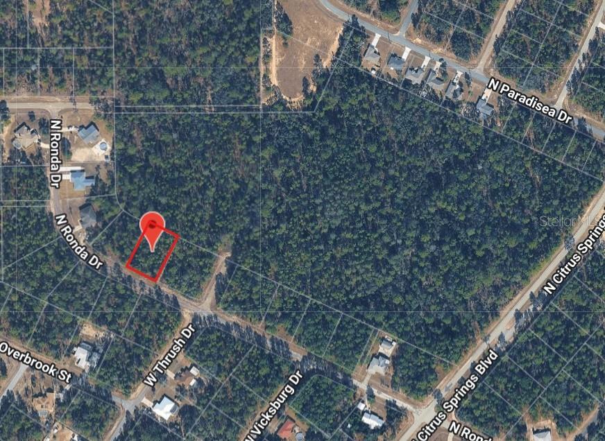 This is an aerial map view showing a vacant, wooded lot highlighted in red — 8689 N RONDA DRIVE, CITRUS SPRINGS, FL