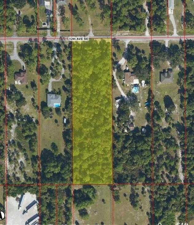 A paved road runs alongside a wooded lot with tall pine trees and palmetto bushes — UNIT 82 12TH AVENUE SE UNIT 82, NAPLES, FL