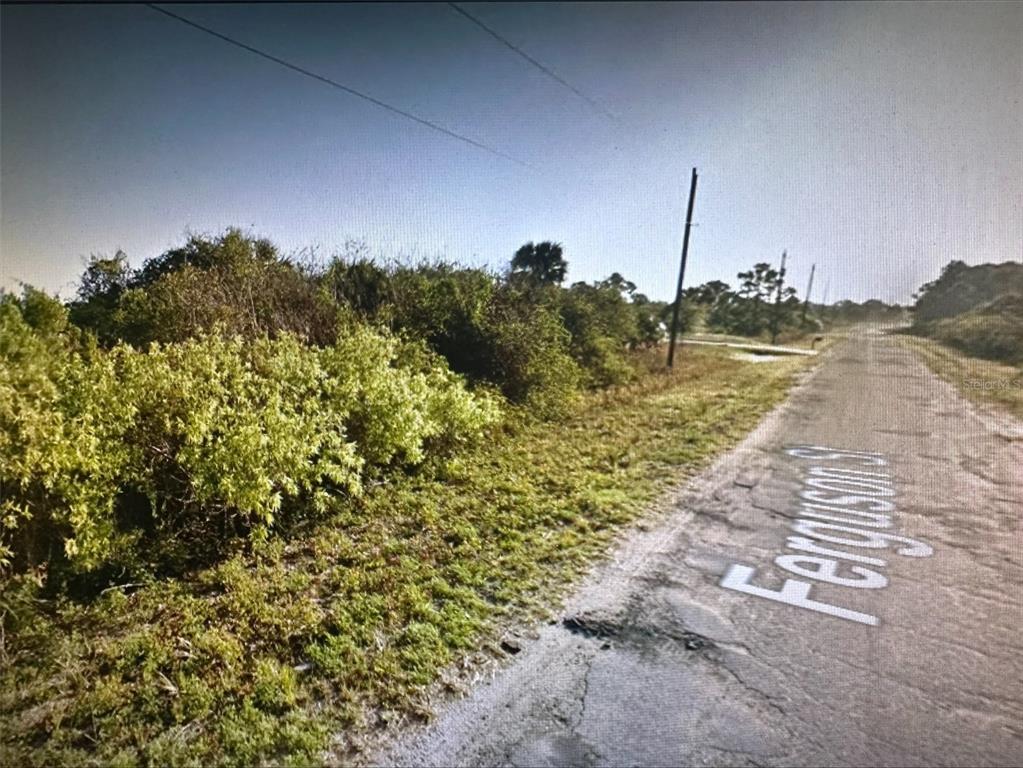 A paved road runs alongside a vacant, overgrown lot with dense shrubs and utility poles — 179 FERGUSON STREET SW, PALM BAY, FL