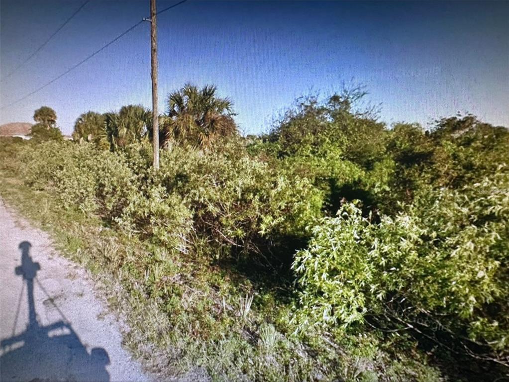 A dirt road runs alongside a dense, overgrown lot with a utility pole and palm trees — 179 FERGUSON STREET SW, PALM BAY, FL