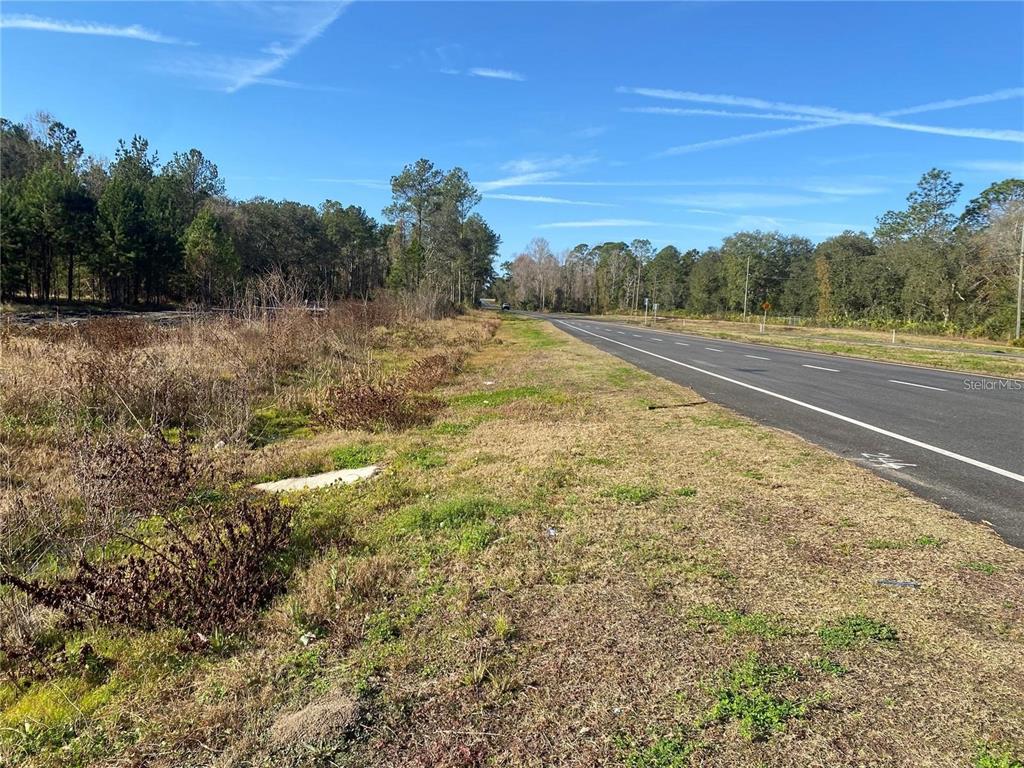 956 US HIGHWAY 17, SATSUMA, FL — photo 2 of 3