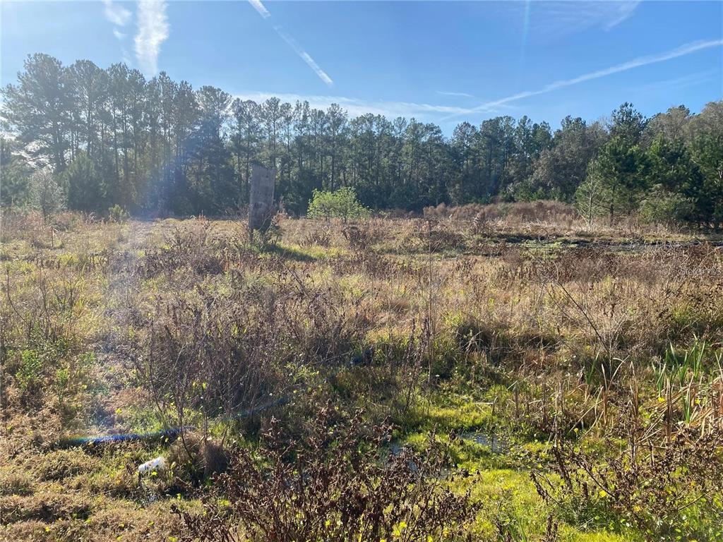 956 US HIGHWAY 17, SATSUMA, FL — photo 3 of 3