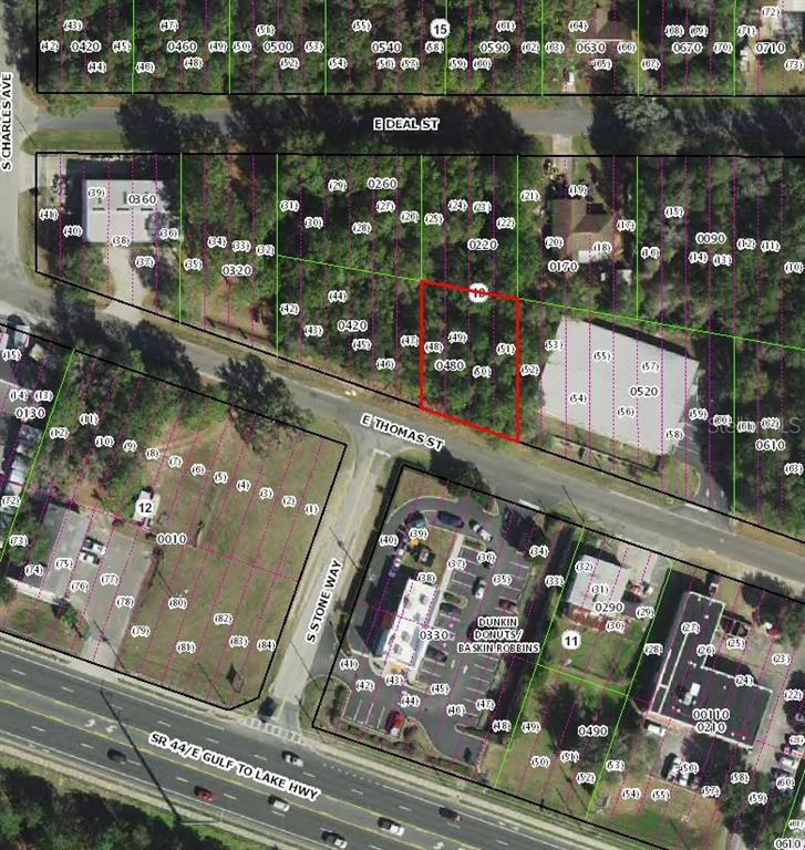 This is an aerial map showing property lot lines and street layouts — 3081 E THOMAS STREET, INVERNESS, FL
