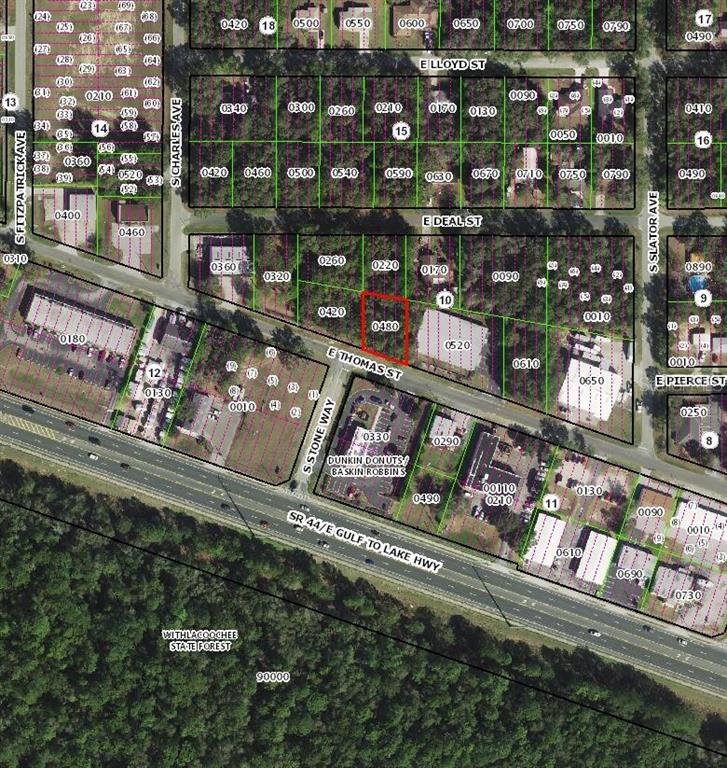 This is a tax map showing property parcels and street layouts in a residential area — 3081 E THOMAS STREET, INVERNESS, FL