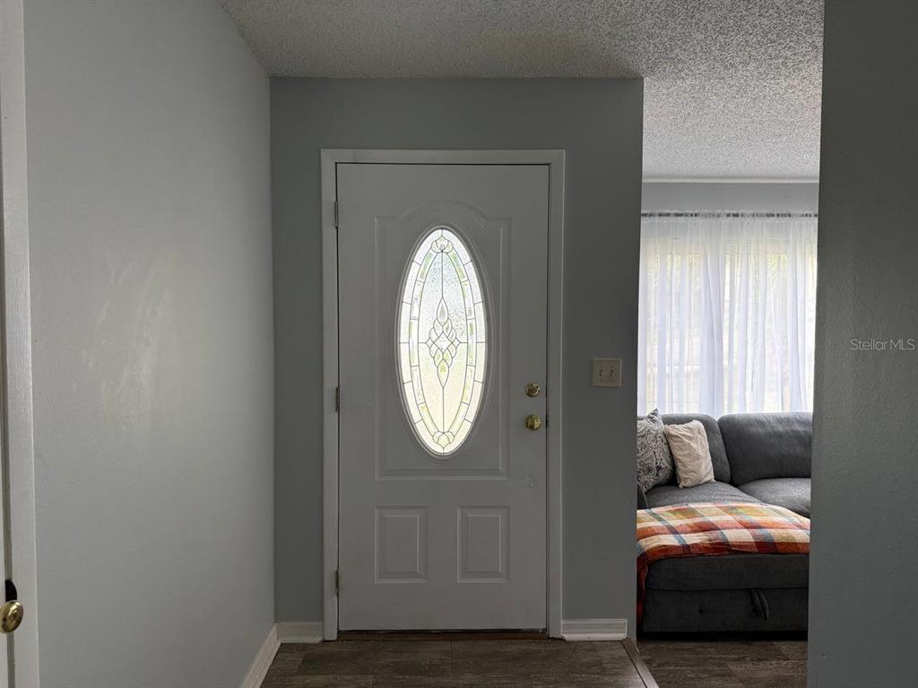 An entryway features a white front door with an oval glass insert and gray walls — 290 HILLSIDE DRIVE, CLERMONT, FL