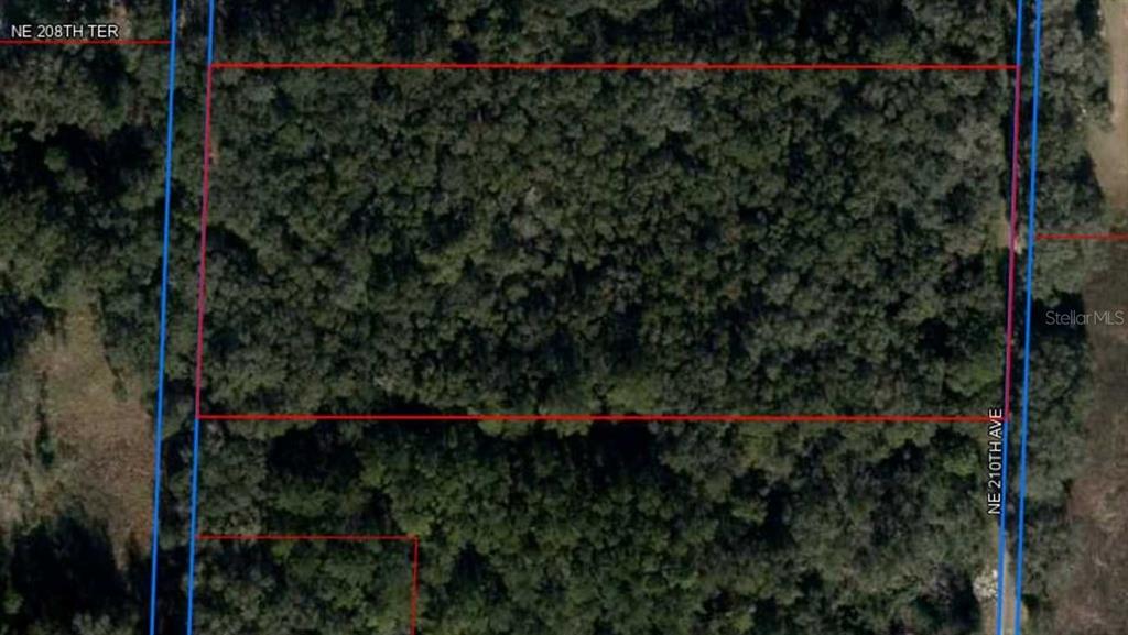 An aerial view shows a rectangular, wooded plot of land outlined in red — NE 210TH AVENUE, WILLISTON, FL