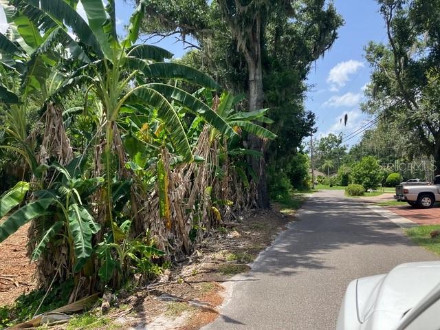 DONNA LU DRIVE, ODESSA, FL — photo 3 of 13