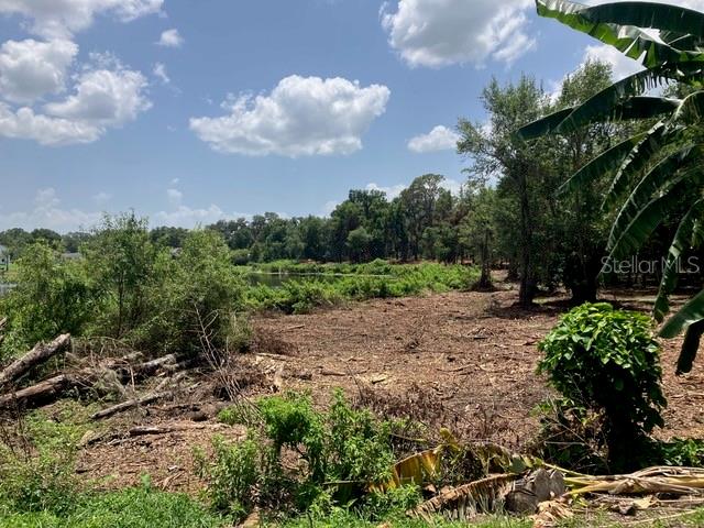 DONNA LU DRIVE, ODESSA, FL — photo 4 of 13