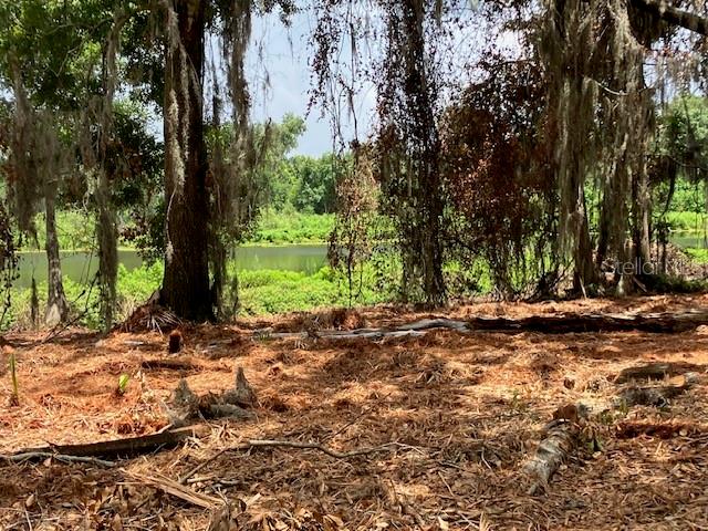 DONNA LU DRIVE, ODESSA, FL — photo 5 of 13