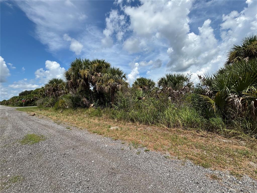 709 SALTWATER STREET SW, PALM BAY, FL — photo 3 of 4