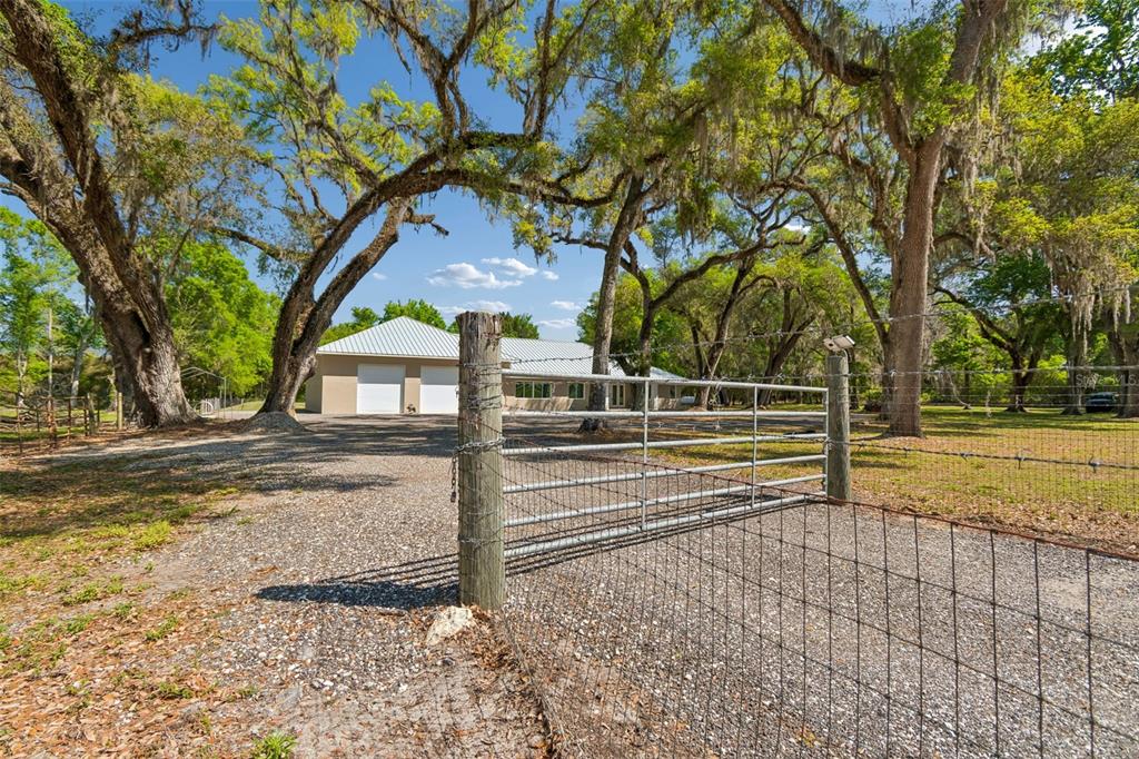 A gravel driveway leads through a metal gate toward a house with a metal roof — 4300 CR 673, BUSHNELL, FL