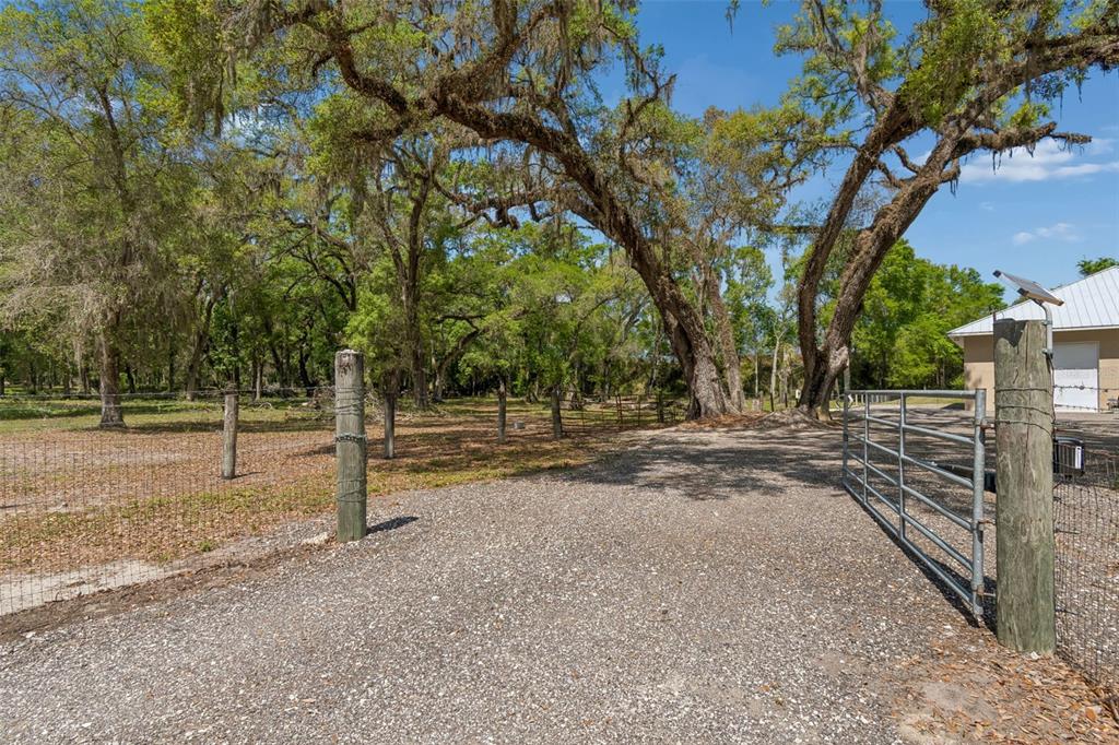 A gravel driveway leads through a metal gate toward a wooded area and building — 4300 CR 673, BUSHNELL, FL