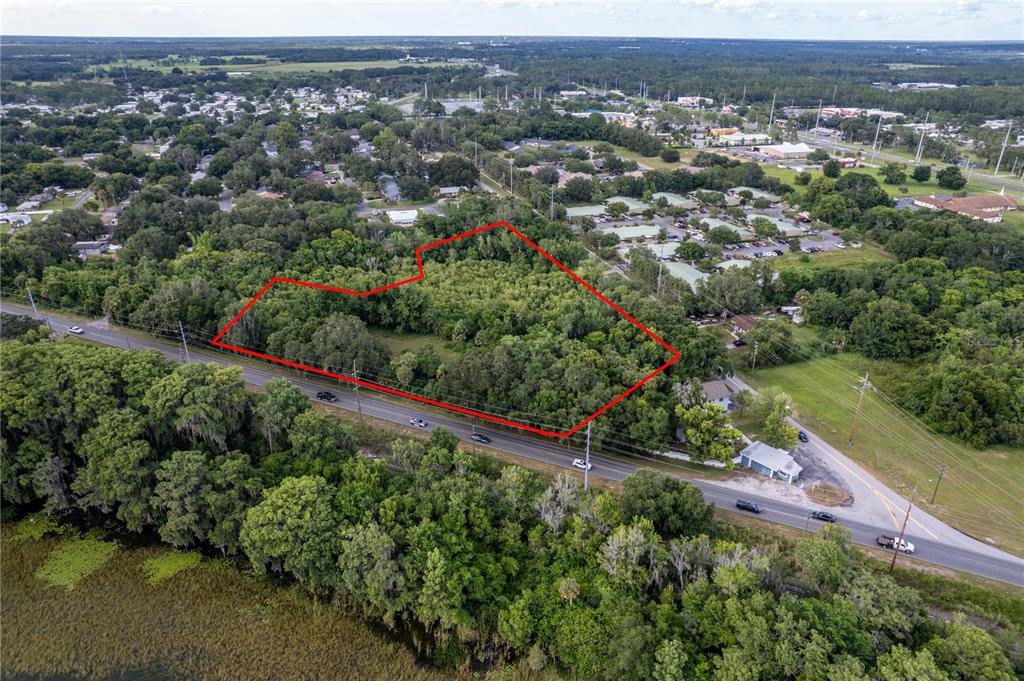 An aerial view shows a wooded lot outlined in red next to a paved road — CR-19A, EUSTIS, FL