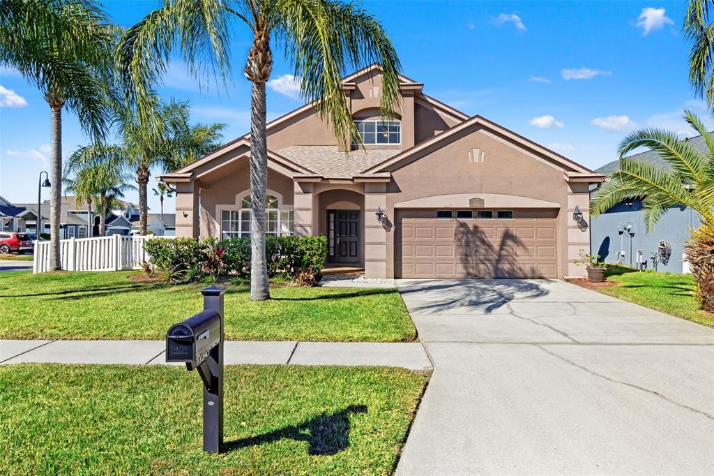 17343 LAWN ORCHID LOOP