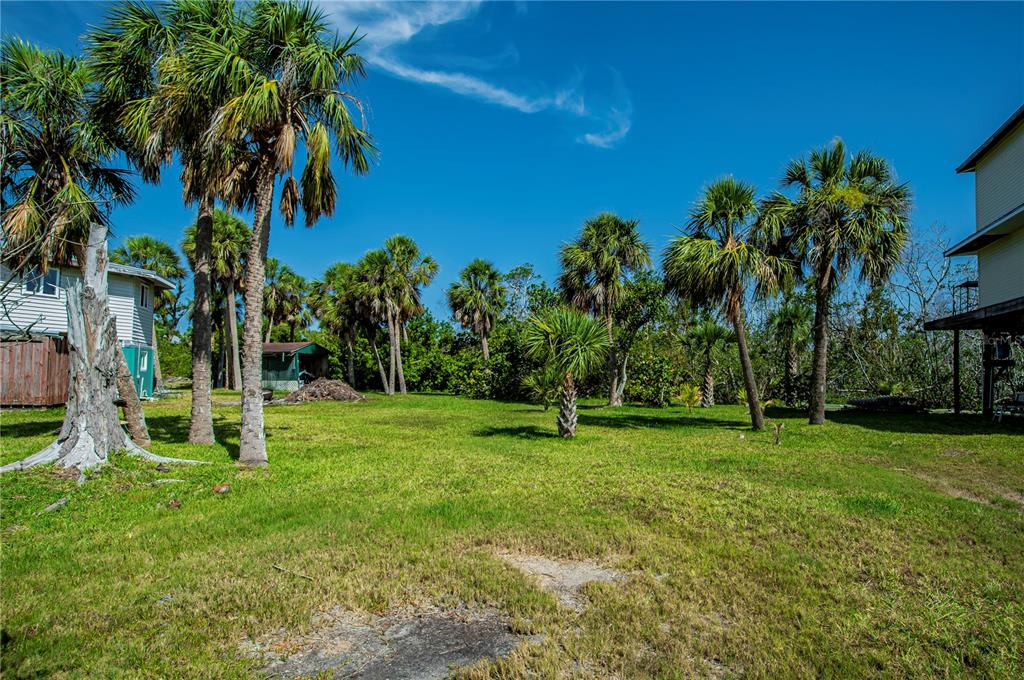 A grassy backyard features several palm trees and two houses on a sunny day — 8864 BAY STREET, PLACIDA, FL