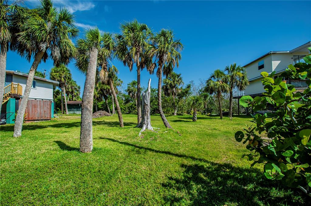 A grassy backyard features several tall palm trees and a dead tree trunk — 8864 BAY STREET, PLACIDA, FL