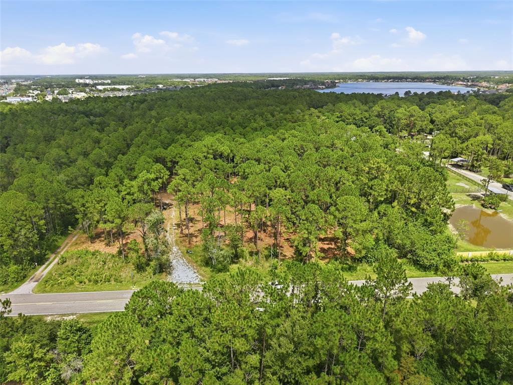 An aerial view shows a wooded lot with a gravel driveway next to a road — 0 ALTAMONT LANE, ODESSA, FL