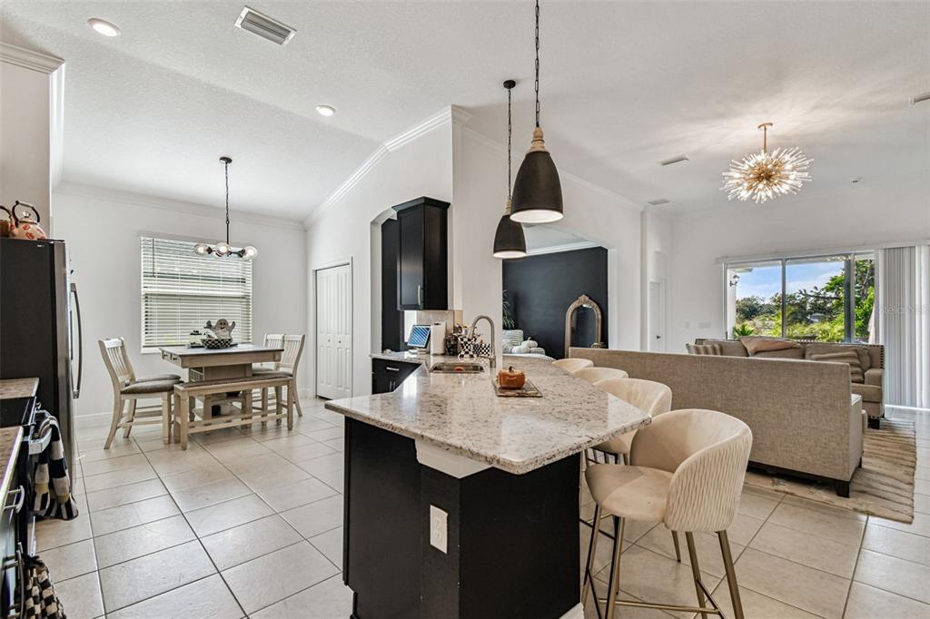 An open-concept kitchen features a granite-topped island, dark cabinetry, and an adjacent dining area — 1039 DAVIS HEATHER CIRCLE, SEFFNER, FL