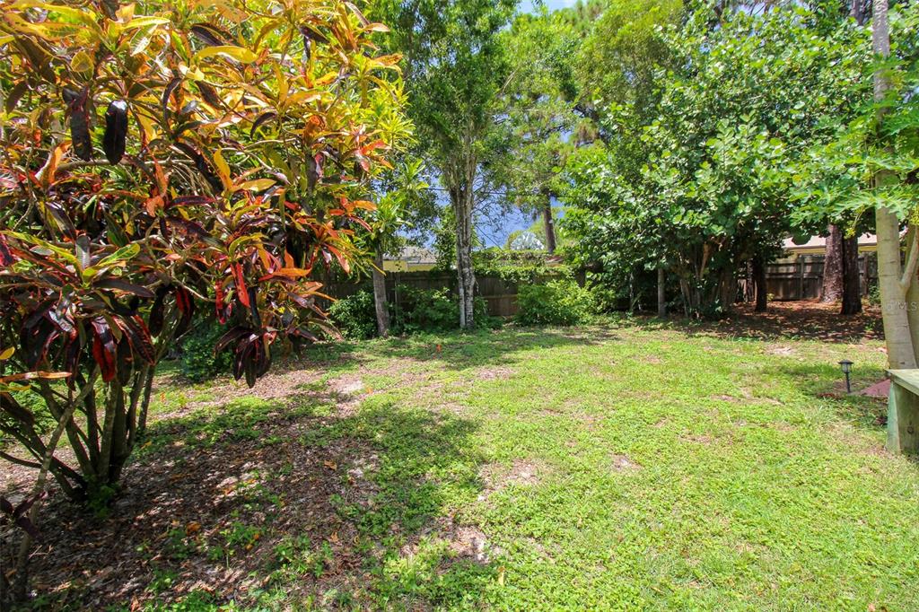 A grassy backyard features a large, colorful croton plant and mature trees along a fence — 1116 ROYAL ROAD, VENICE, FL
