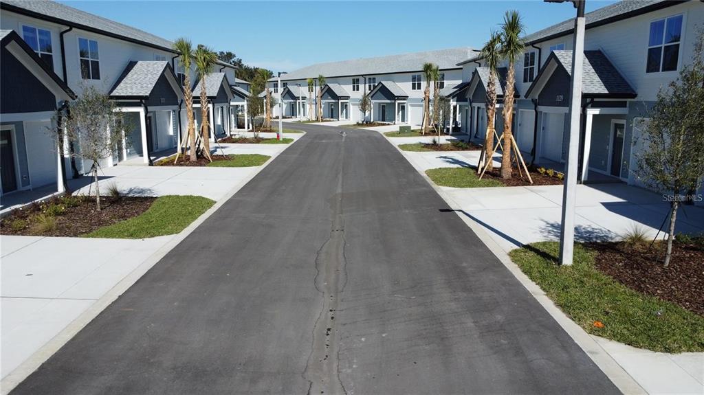 An exterior view of a residential street lined with modern townhomes and young palm trees — 1019 E CAROLINE STREET, TAVARES, FL