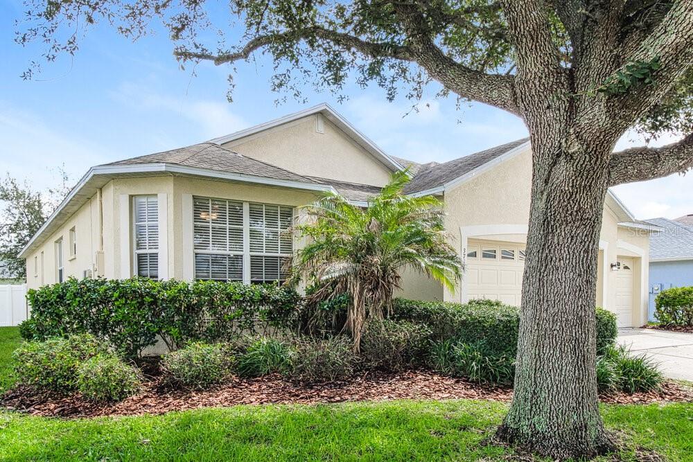 3731 BRAEMERE DRIVE, SPRING HILL, FL — photo 3 of 16