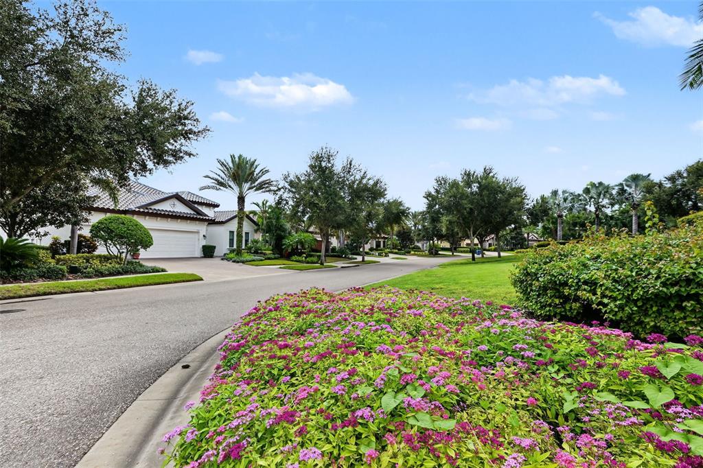 1366 VIA VERDI DRIVE, PALM HARBOR, FL — photo 5 of 30
