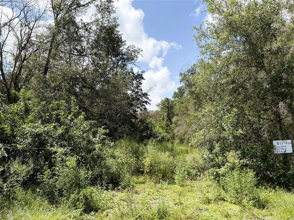 A wooded, overgrown lot with a small sign attached to a tree on the right — 6423 NE THOMAS DRIVE, ARCADIA, FL