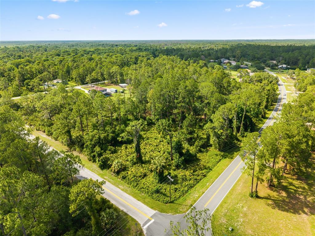 An aerial view shows a wooded, undeveloped corner lot at the intersection of two roads — ROYAL TRAILS ROAD, EUSTIS, FL