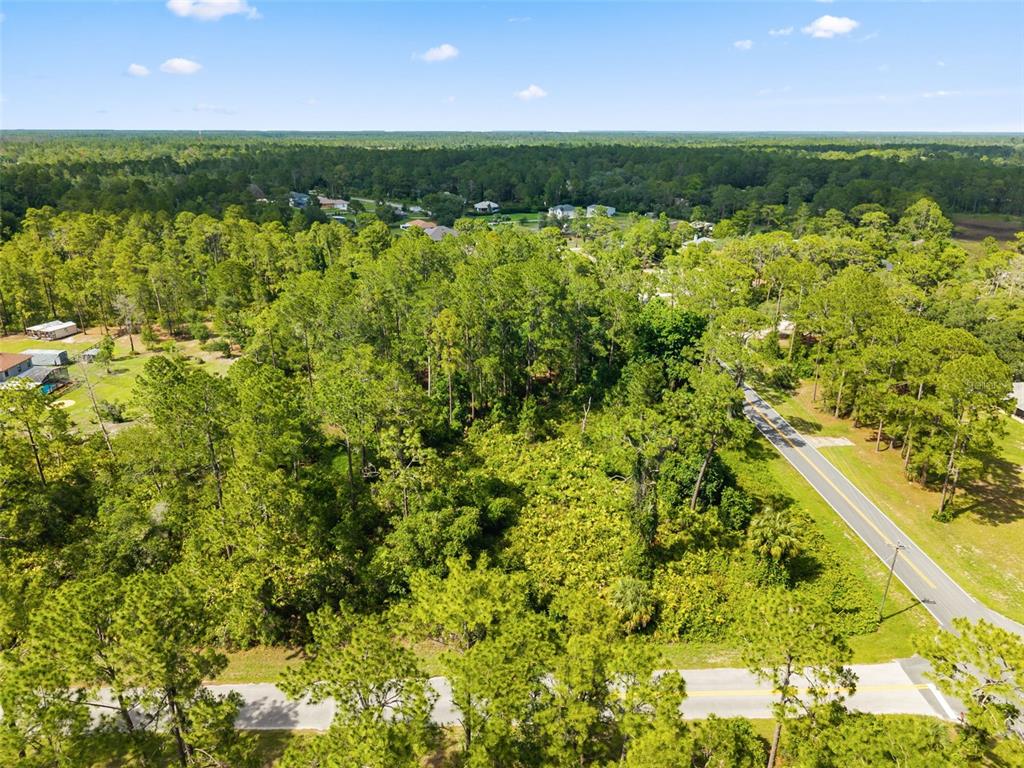 An aerial view shows a wooded lot bordered by two paved roads — ROYAL TRAILS ROAD, EUSTIS, FL