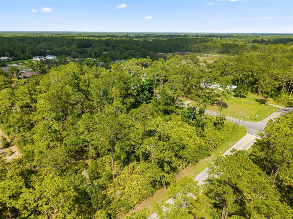 An aerial view shows a wooded lot bordered by paved roads and surrounding trees — ROYAL TRAILS ROAD, EUSTIS, FL