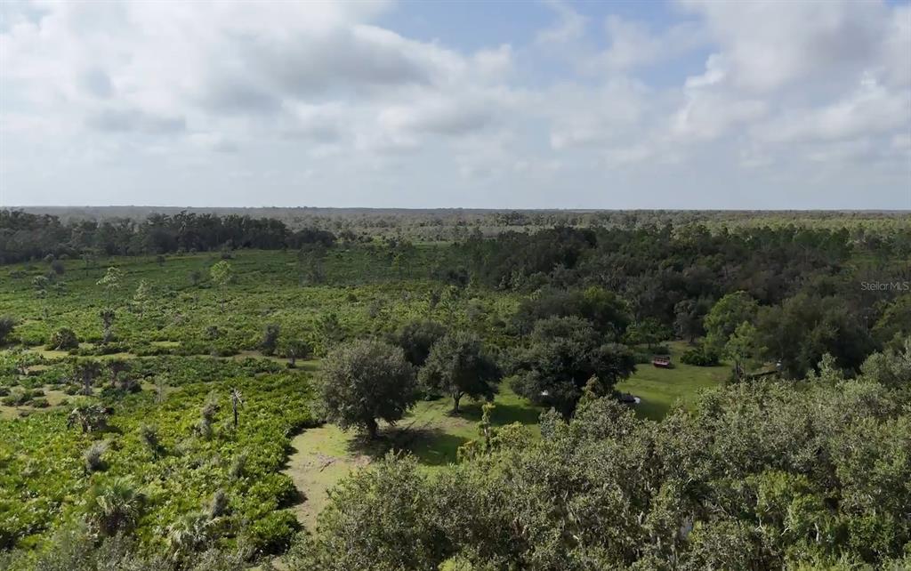 An aerial view of a large, grassy field surrounded by dense trees and forest — SW AURIN GRADE UNIT A, ARCADIA, FL