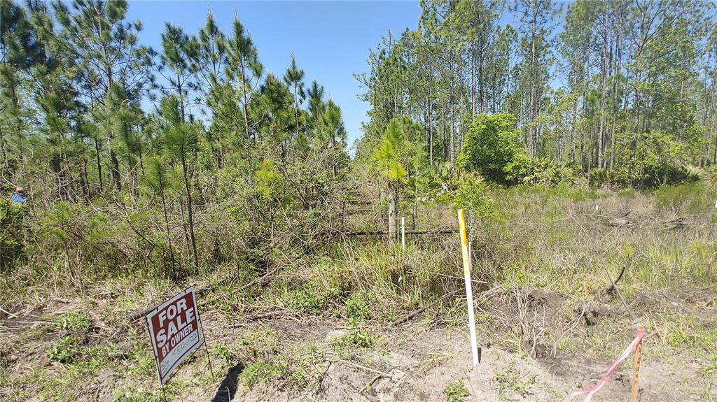 A cleared, wooded lot features a layer of mulch covering the ground under a clear sky — 1001 OMEGA RANCH ROAD UNIT 16, NEW SMYRNA BEACH, FL