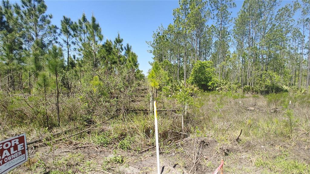 A large, cleared plot of land features scattered debris with a dense forest in the background — 1001 OMEGA RANCH ROAD UNIT 16, NEW SMYRNA BEACH, FL