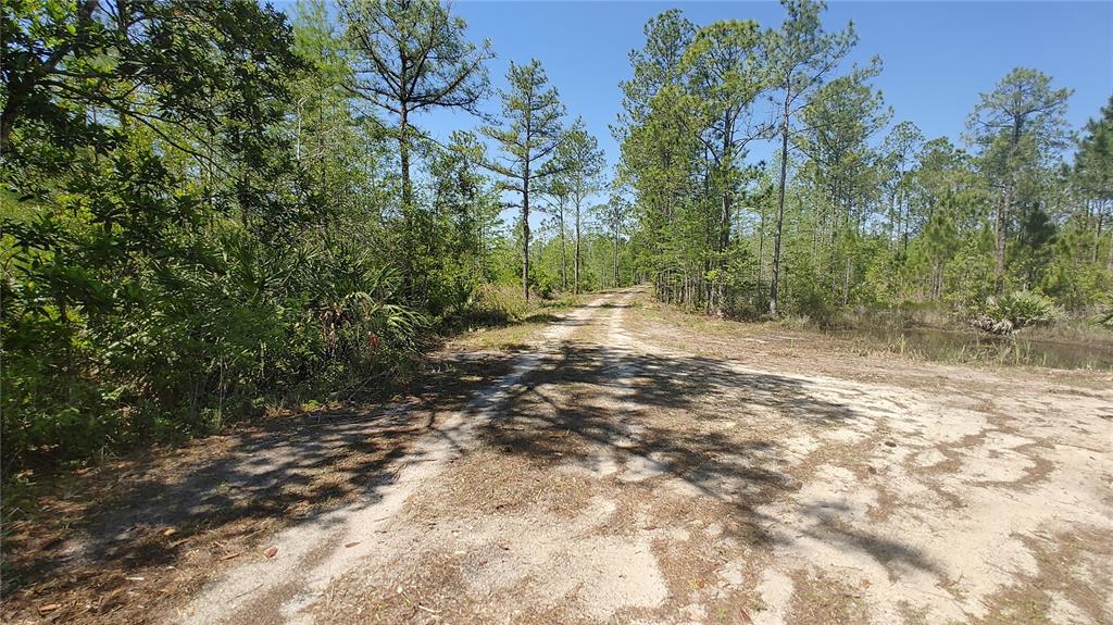 A cleared, dirt-covered lot sits in front of a dense forest and a small pond — 1001 OMEGA RANCH ROAD UNIT 16, NEW SMYRNA BEACH, FL