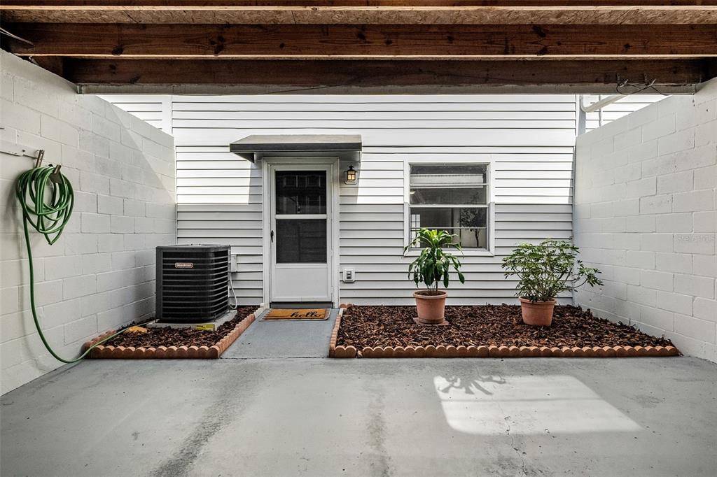 A concrete patio area features a white door, an HVAC unit, and two potted plants — 11917 CONGRESSIONAL DRIVE, TAMPA, FL