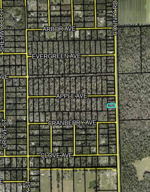 This is an aerial map showing a grid of residential lots and streets — 2166 CR-305, BUNNELL, FL
