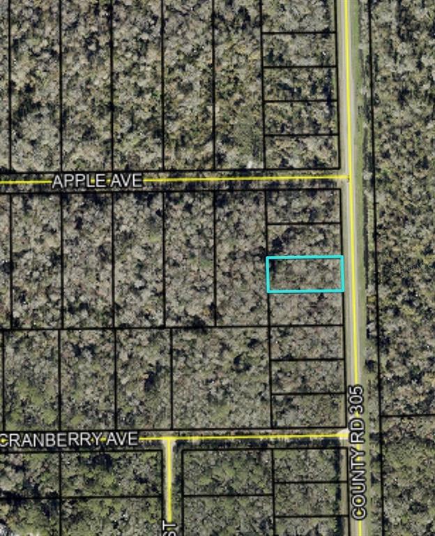 This is a satellite map view showing a rectangular parcel of land highlighted in blue — 2166 CR-305, BUNNELL, FL