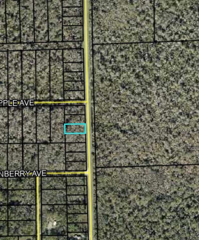 This is an aerial map view showing a highlighted rectangular plot of land — 2166 CR-305, BUNNELL, FL