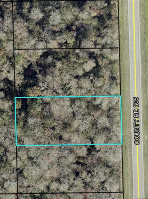This aerial map shows a rectangular plot of wooded land adjacent to a paved road — 2166 CR-305, BUNNELL, FL