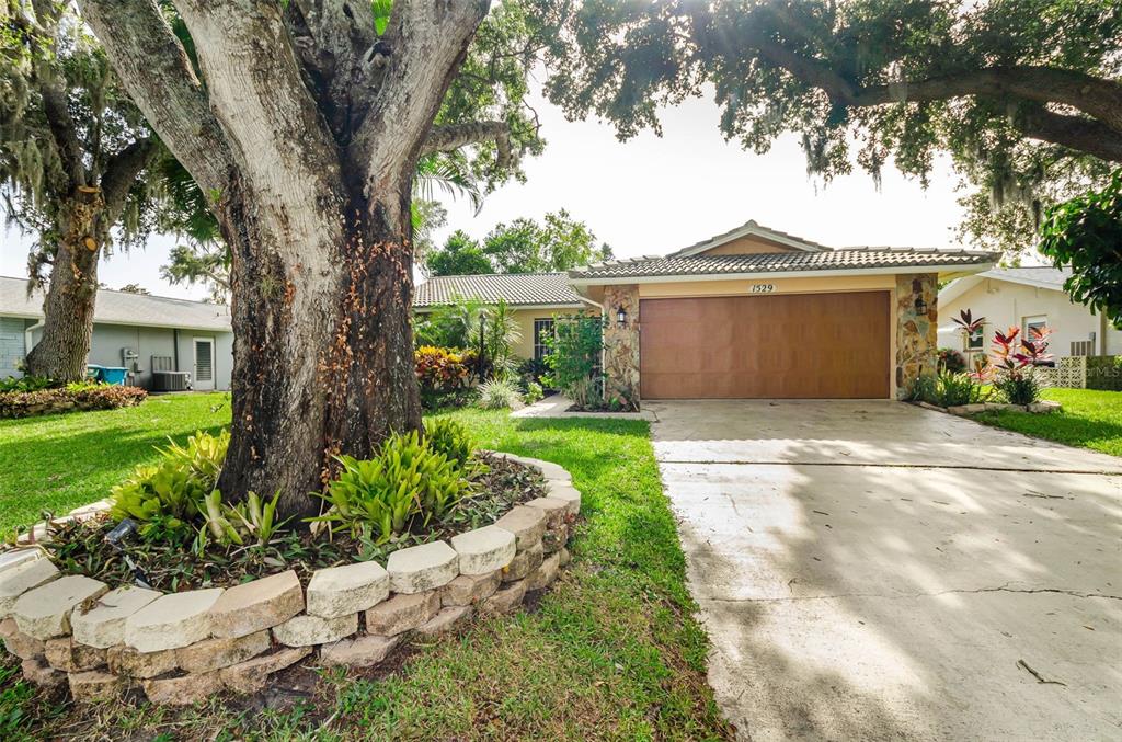 1529 E DORCHESTER DRIVE, PALM HARBOR, FL — photo 4 of 20