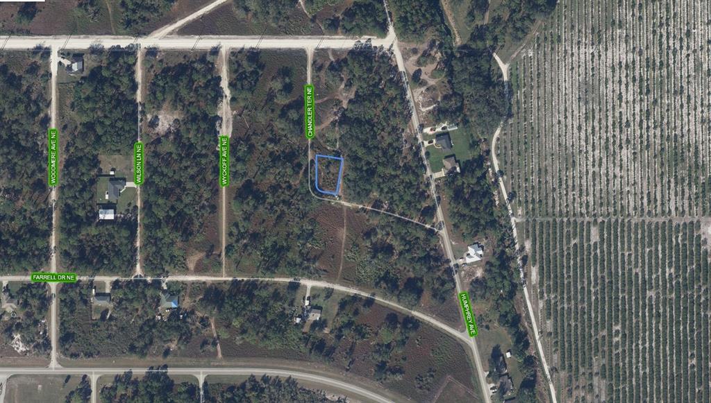 This is an aerial map showing a vacant lot outlined in blue within a wooded area — 108 CHANDLER TERRACE NE, LAKE PLACID, FL