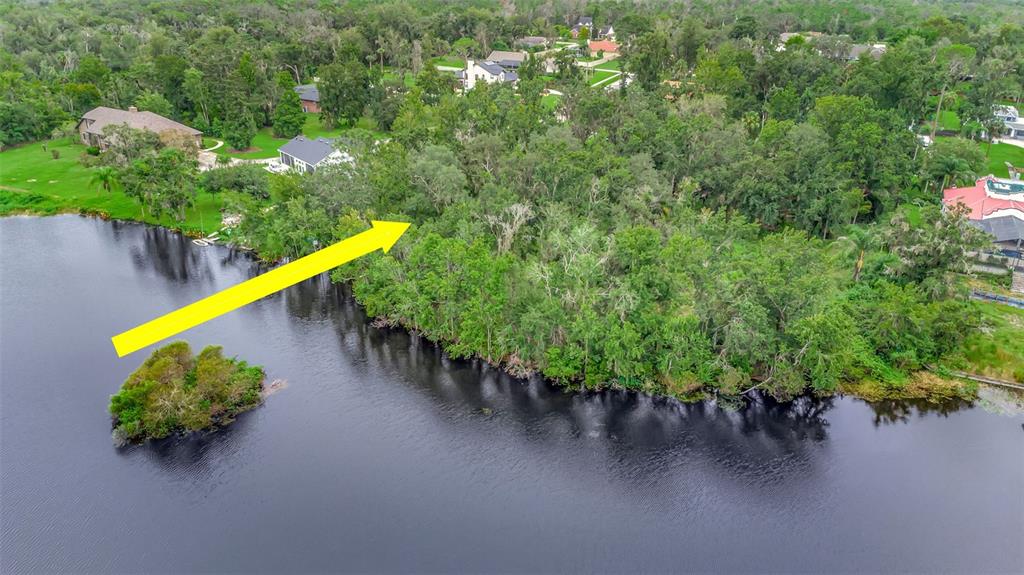 An aerial view shows a wooded waterfront lot next to residential houses and a lake — 12610 LAKE HILLS DRIVE, RIVERVIEW, FL