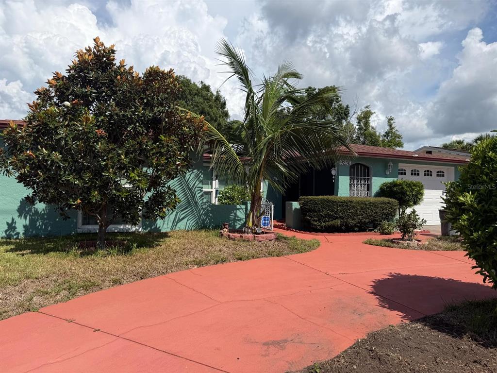 A teal house with a red driveway, a large palm tree, and a magnolia tree — 9236 GRAY FOX, PORT RICHEY, FL
