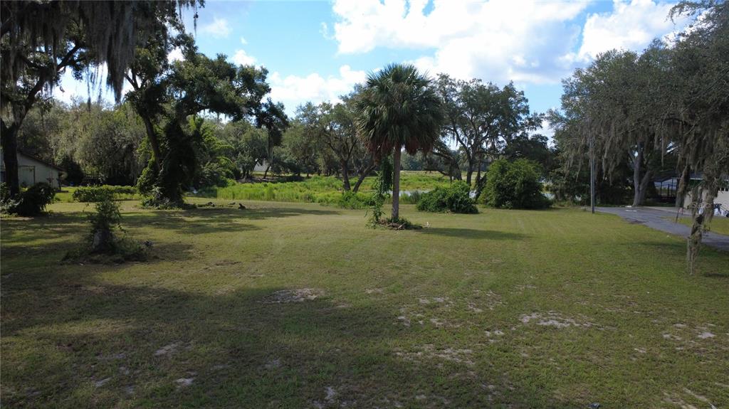 A grassy lot features a single palm tree, mature trees with Spanish moss, and distant water — SE HWY 42, WEIRSDALE, FL