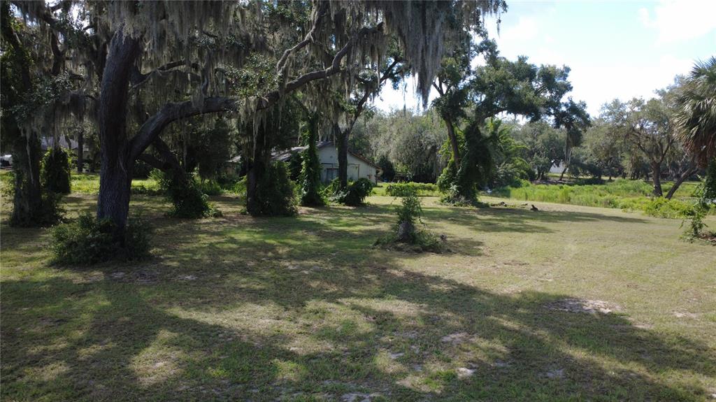 A grassy yard with large, moss-draped oak trees and a house in the background — SE HWY 42, WEIRSDALE, FL